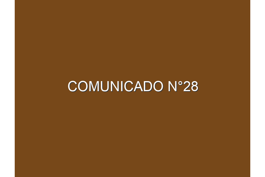 Comunicado N°28